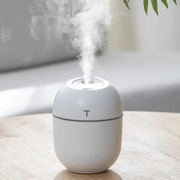 Mini Air Humidifier & Cool Mist Diffuser, 250ml